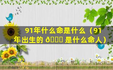 91年什么命是什么（91年出生的 🐟 是什么命人）